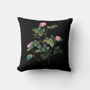 Rosa Rubiginosa Throw Pillow