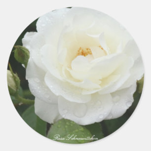 Rosa Schneewittchen Classic Round Sticker