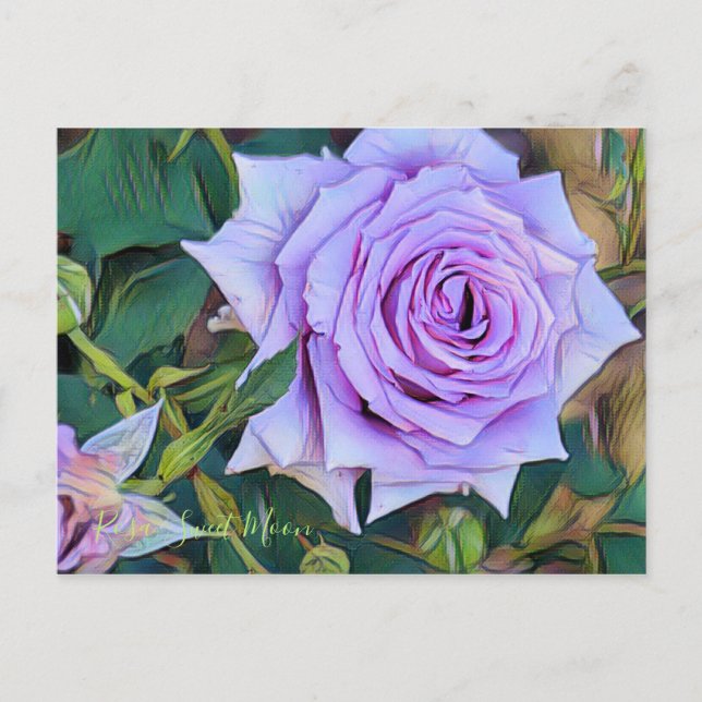 Rosa Sweet Moon [Postcard] Postcard (Front)
