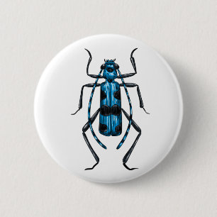 Rosalia Alpina beetle 6 Cm Round Badge