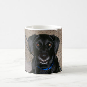Roscoe Mug