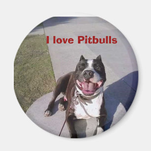 Roscoe's class, I love Pitbulls Magnet