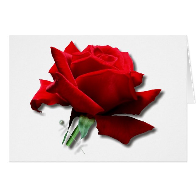 Rose (Front Horizontal)