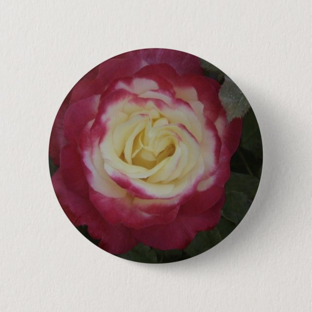 Rose 6 Cm Round Badge (Front)