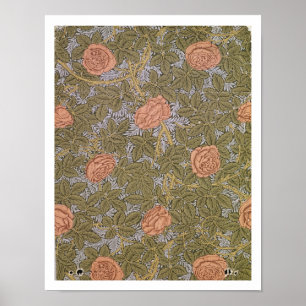'Rose - 93' wallpaper design Poster