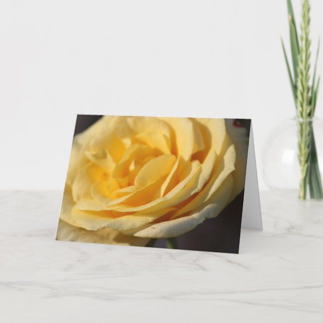 Rose All Occasion Greeting Cards (Front)