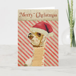 Rose Alpaca Christmas Card