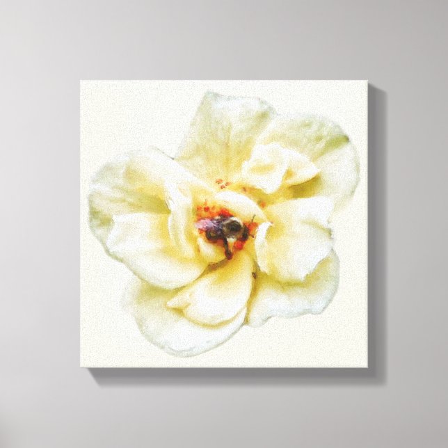 Rose and Bee Canvas Print (Front)