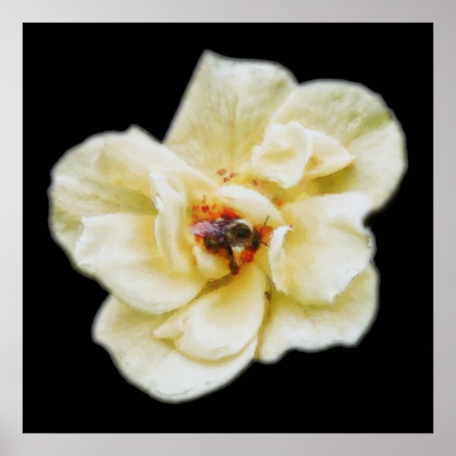 Rose and Bee Poster (Front)