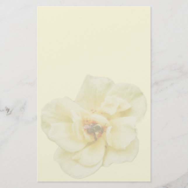 Rose and Bee Stationery (Front)