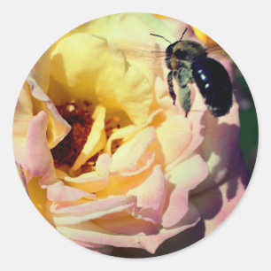 Rose And Bumble Bee Flower  Classic Round Sticker
