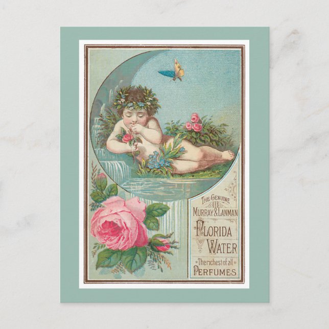 Rose and Cherub Florida Waters Postcard (Front)