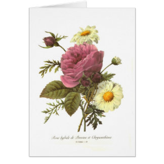 Rose and Chrysanthemum