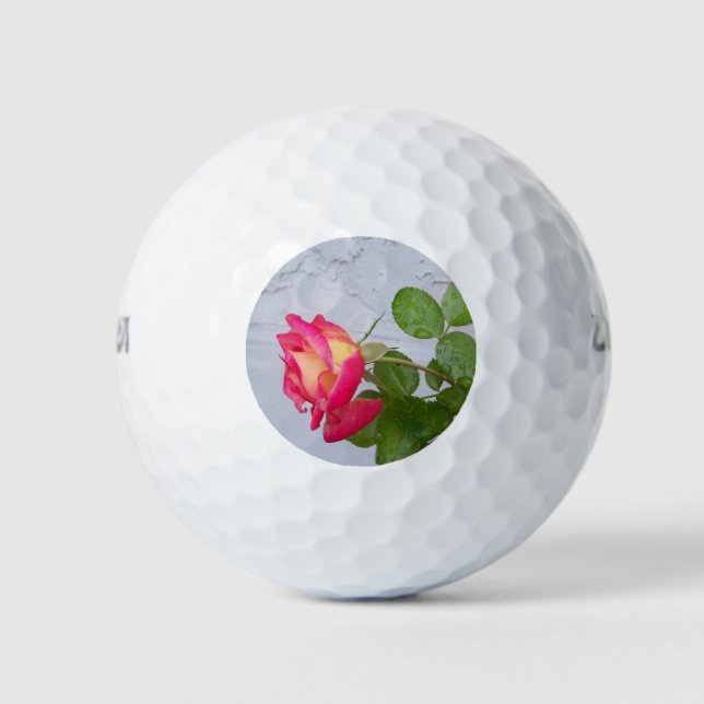 Rose and grey stucco wall golf balls (Front)