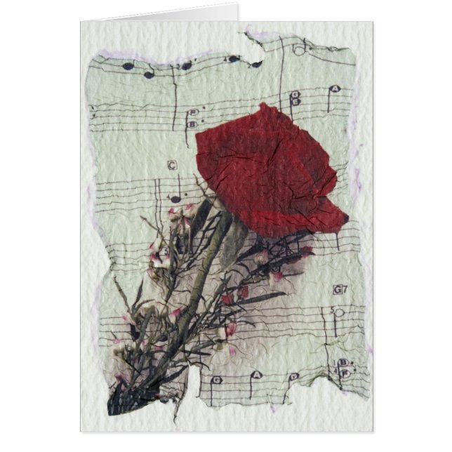 <Rose and Music> by Kim Koza 2 (Front)