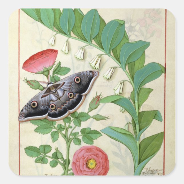 Rose and Polygonatum Square Sticker (Front)