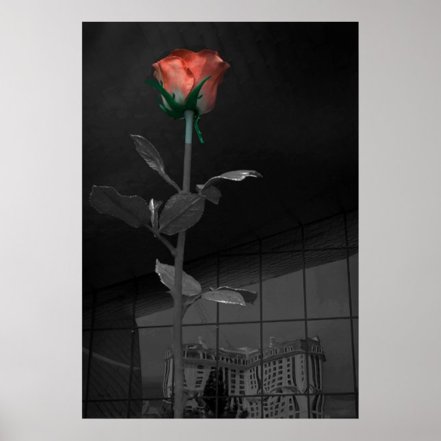 Rose and Reflection, Las Vegas Poster (Front)