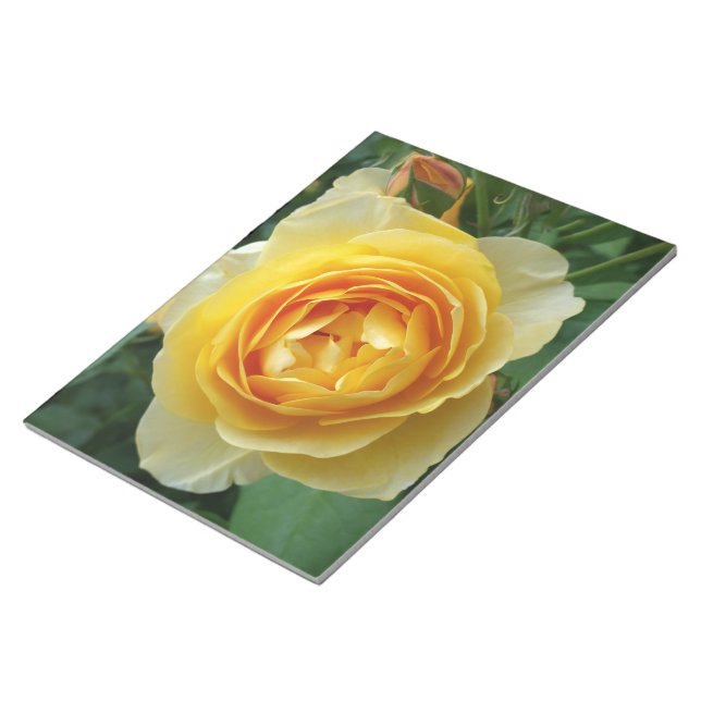 rose and rosebud notepad (Angled)