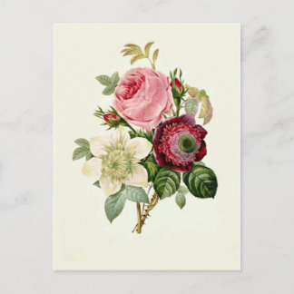Rose,Anemone and Clematis by Pierre-Joseph Redouté Postcard