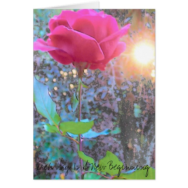 Rose art, Each Day Is A New Beginning (Front)