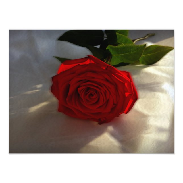 rose at dusk photo print (Front)