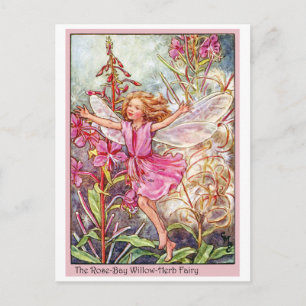 Rose-Bay Wilow-Herb Fairy Postcard