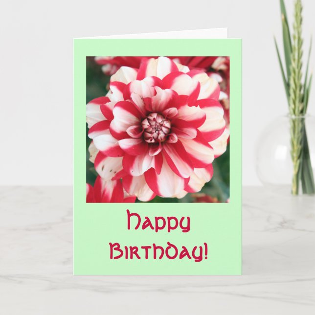 Rose Birthday Greeting Card (Front)