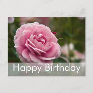 Rose Birthday Postcard Geburtstagskarte Rose