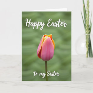 Rose Bloom Springtime Card