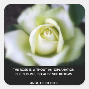 Rose Blooms Quote Square Sticker