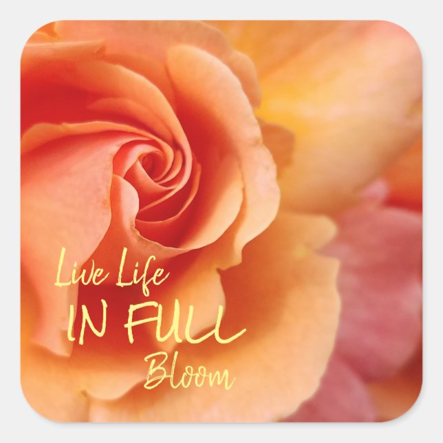 Rose Blossom / Apricot Peach / Inspirational Quote Square Sticker (Front)
