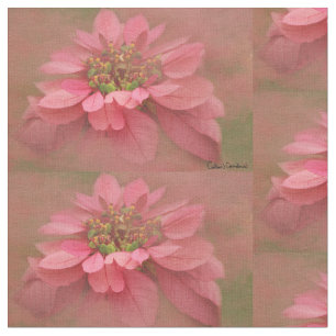 Rose Blush Poinsettias Digital Art Fabric