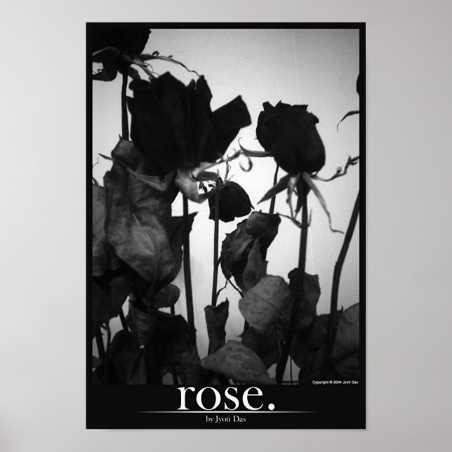 rose [border] poster (Front)