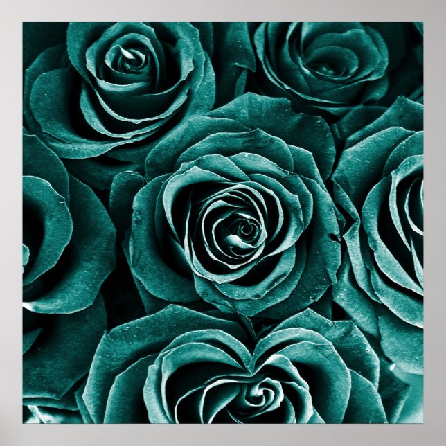 Rose Bouquet in Turquoise Poster (Front)