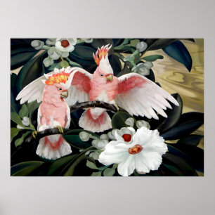 Rose Breasted Cockatoos by Jessie Arms Botke Poster