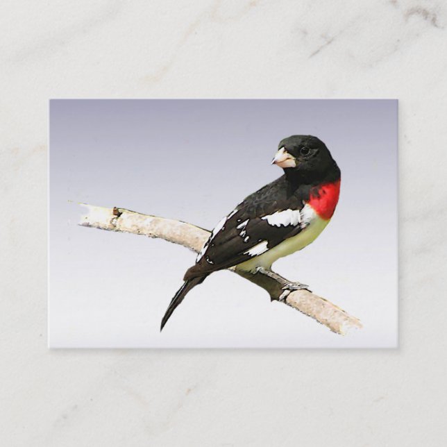 Rose-breasted Grosbeak ATC Business Card (Front)