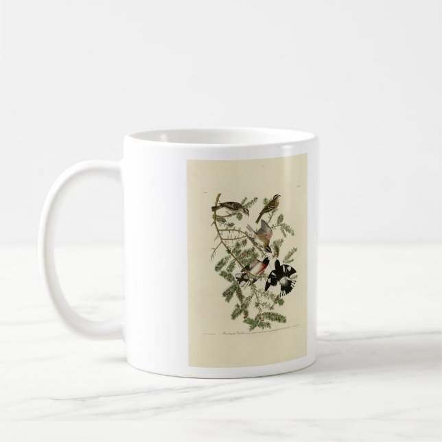 Rose-breasted Grosbeak, Audubon's Birds of America Coffee Mug (Left)