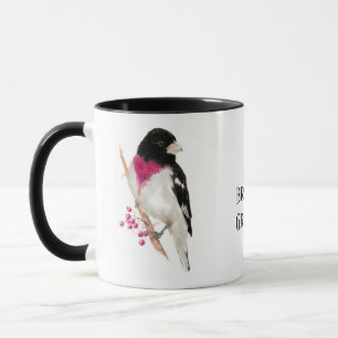 Rose Breasted Grosbeak, Bird, Nature, Mug