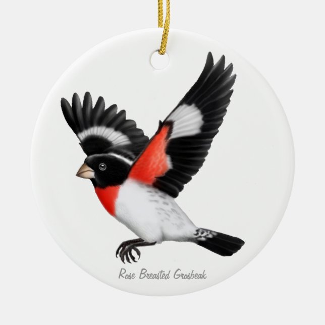 Rose Breasted Grosbeak Bird Ornament (Front)