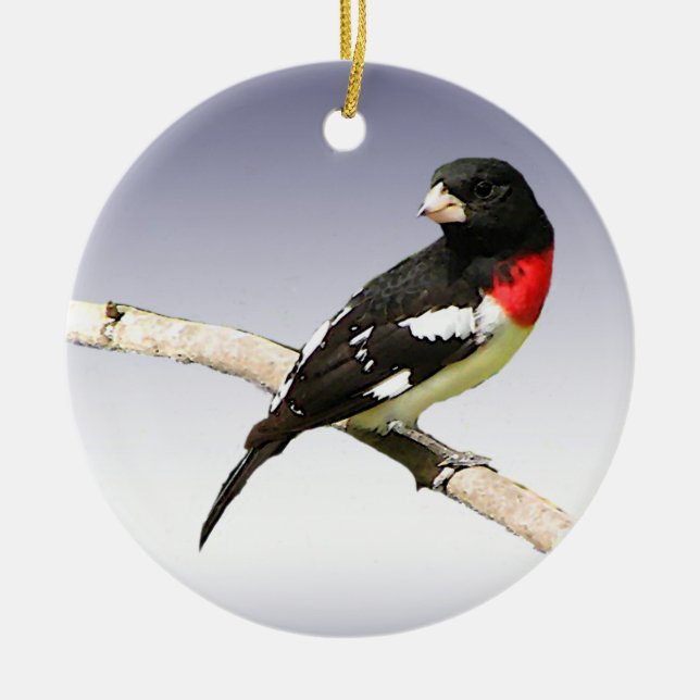 Rose-breasted Grosbeak Ceramic Tree Decoration (Front)