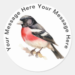 Rose-breasted Grosbeak Classic Round Sticker