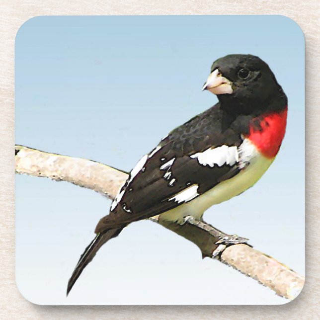 Rose-Breasted Grosbeak Coaster (Front)