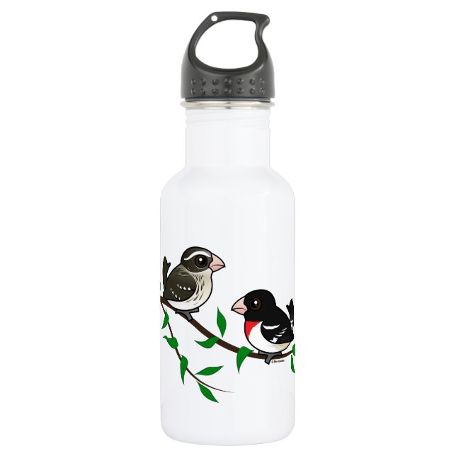 Rose-breasted Grosbeak Couple 532 Ml Water Bottle (Front)