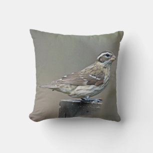 Rose-Breasted Grosbeak Female Songbird Cushion