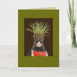 Rose-breasted grosbeak/grass clump card