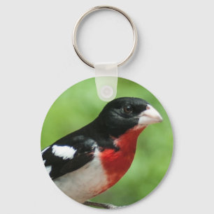 Rose-breasted Grosbeak Key Ring