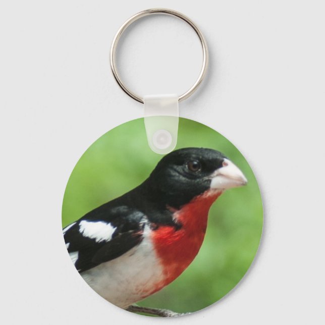 Rose-breasted Grosbeak Key Ring (Front)