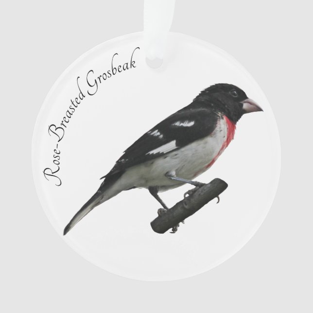 Rose-Breasted Grosbeak Ornament (Front)