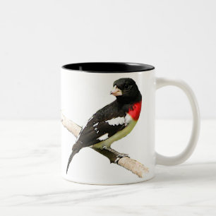Rose-breasted Grosbeak Two-Tone Coffee Mug