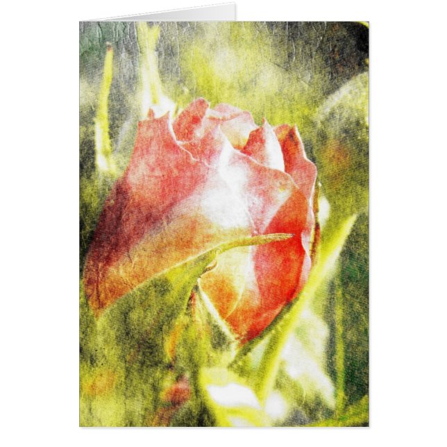 Rose Bud (Front)
